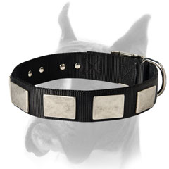 Adjustable Nylon Collar with belt buckle