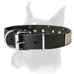 The Collar which won't let you down