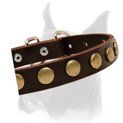 Comfortable Collar with beveled and polished edges