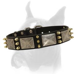 Great Collar with aged plates
