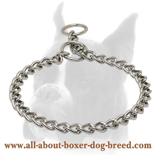 Boxer Chain Slip Collar for Walking and Training