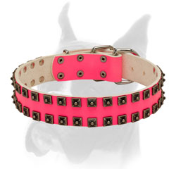 Pink leather Boxer collar with glamorous studs