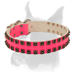Nickel plated rivets and strong hardware for Boxer collar
