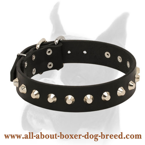 Leather Dog Collar with Pyramids for Daily Walks