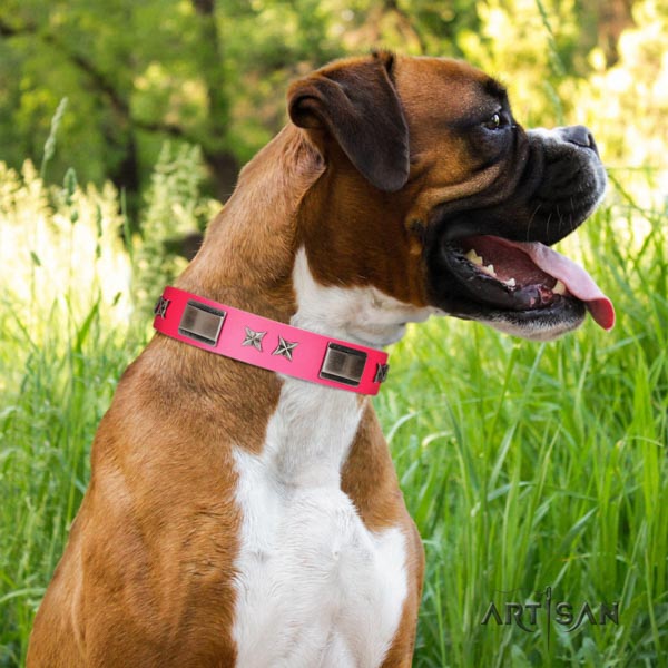 Boxer strong studded full grain natural leather collar