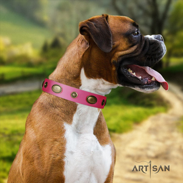 Boxer natural genuine leather collar with decorations