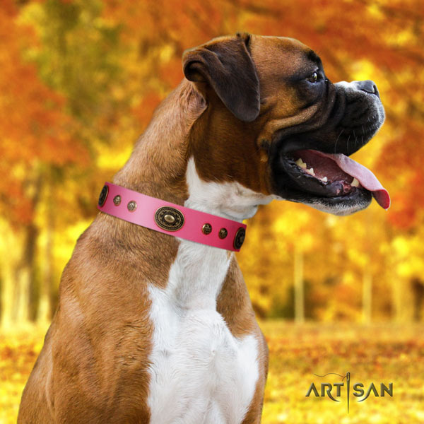 Boxer full grain genuine leather collar with corrosion proof adornments