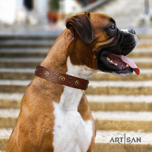 Boxer natural genuine leather collar with durable traditional buckle