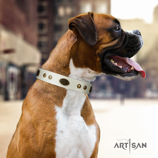 Boxer adorned full grain leather collar with corrosion proof traditional buckle