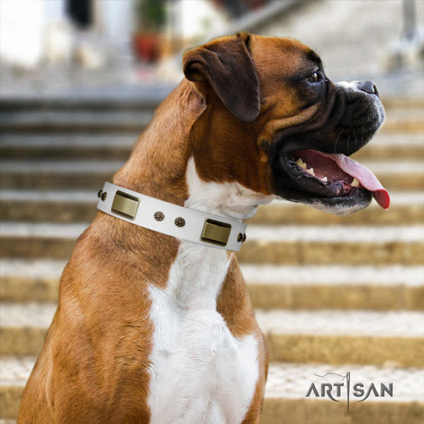 Boxer full grain natural leather collar with corrosion resistant decorations