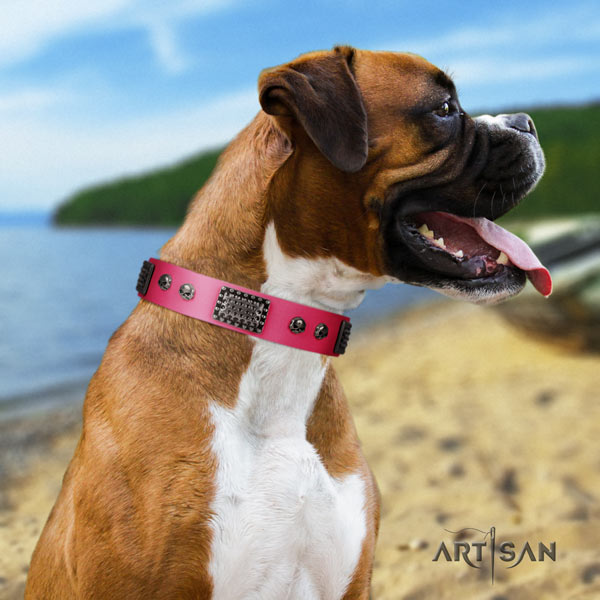 Boxer adorned leather collar with strong D-ring
