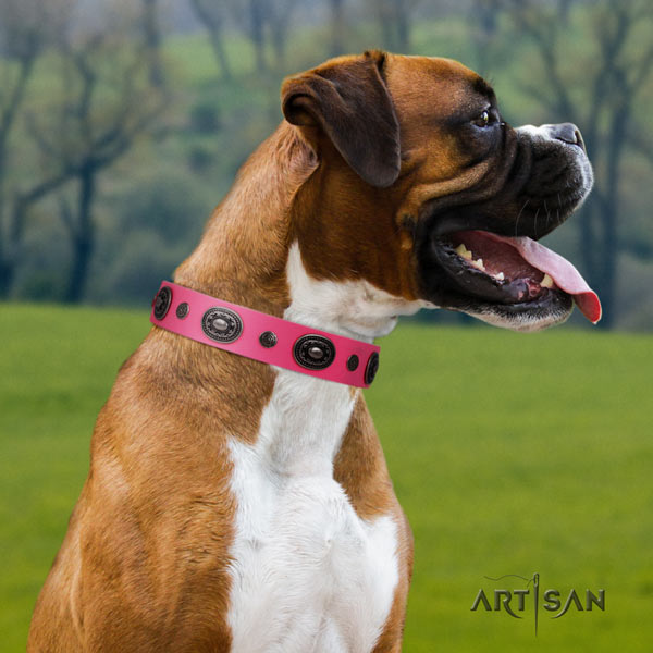 Boxer full grain natural leather collar with strong hardware