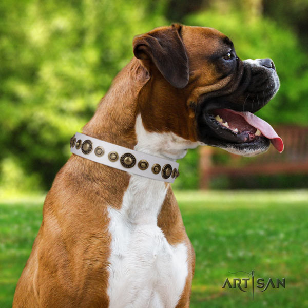 Boxer natural genuine leather collar with corrosion resistant fittings