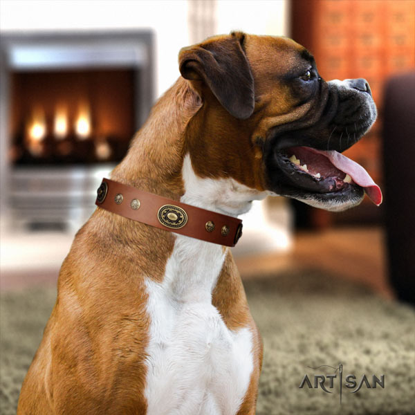 Boxer full grain genuine leather collar with corrosion resistant embellishments