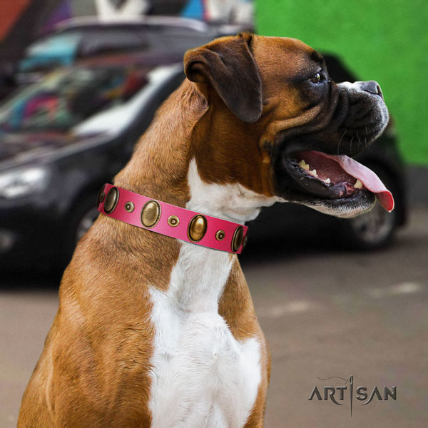 Boxer full grain natural leather collar with rust resistant D-ring for easy wearing