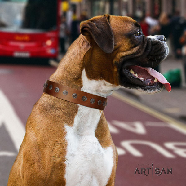 Boxer fine quality full grain genuine leather dog collar with adornments