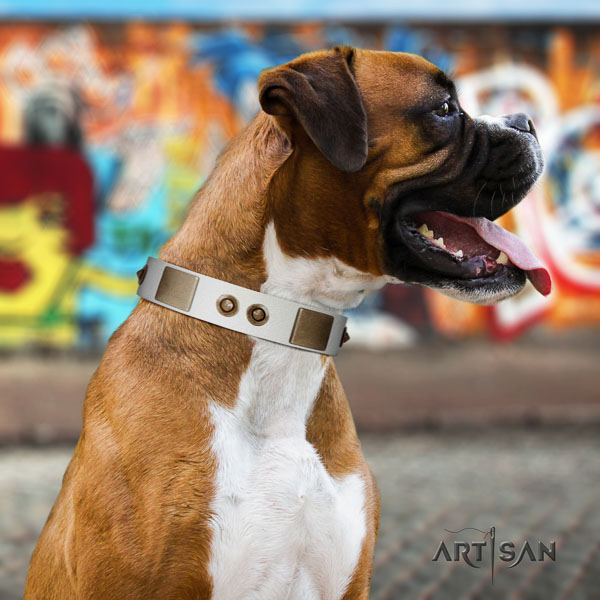 Boxer genuine leather collar with durable buckle for easy wearing