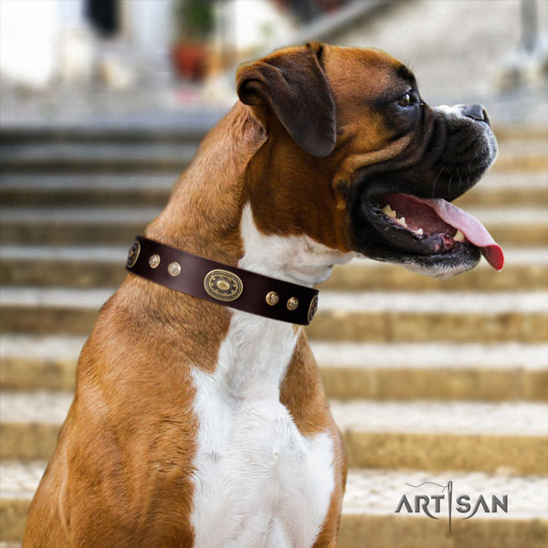 Boxer full grain genuine leather collar with corrosion resistant decorations