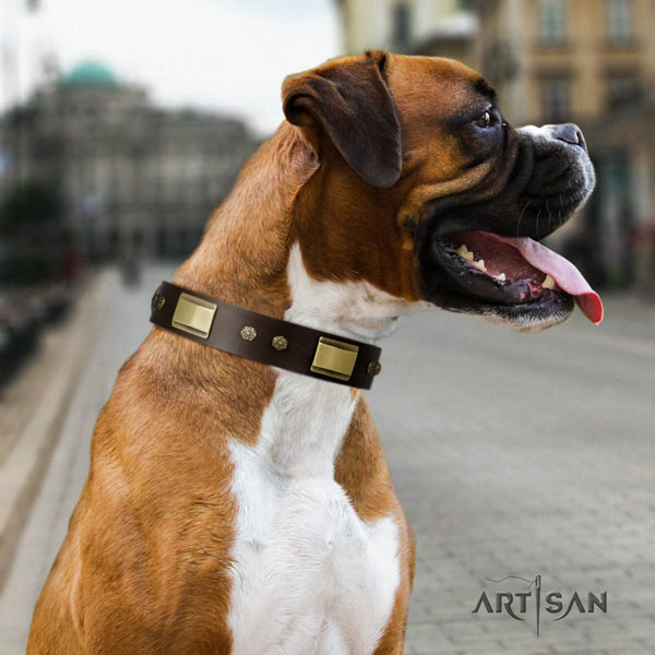 Boxer full grain leather collar with corrosion proof decorations