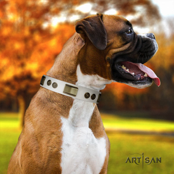 Boxer natural genuine leather collar with corrosion proof studs