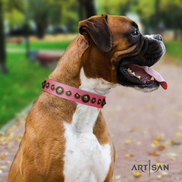 Boxer full grain leather collar with corrosion resistant D-ring