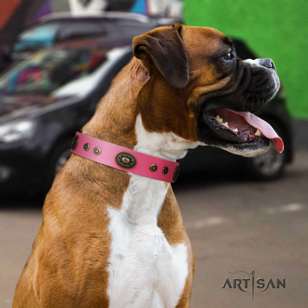 Boxer full grain genuine leather collar with corrosion proof hardware