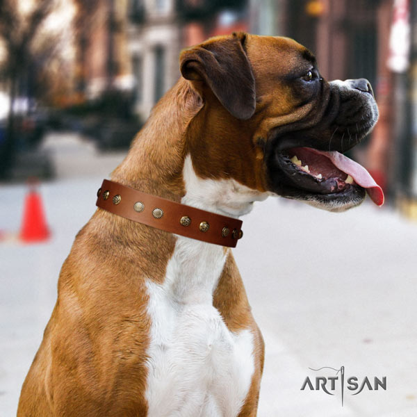 Boxer full grain leather collar with reliable D-ring