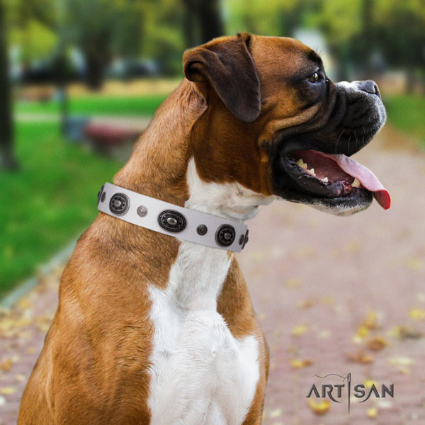 Boxer full grain leather collar with rust resistant buckle