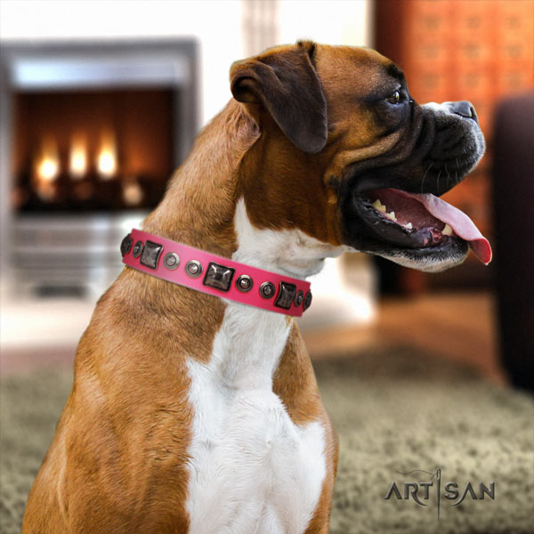 Boxer leather collar with rust resistant buckle