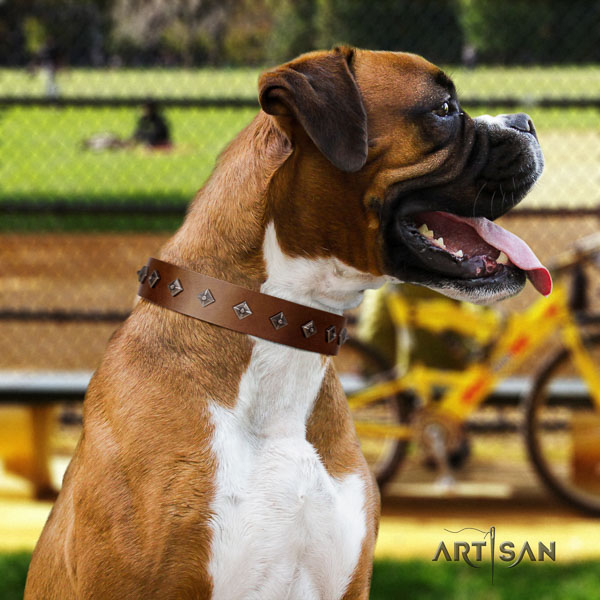 Boxer unusual genuine leather dog collar with decorations