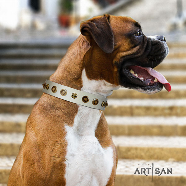 Boxer genuine leather collar with corrosion resistant D-ring for everyday use
