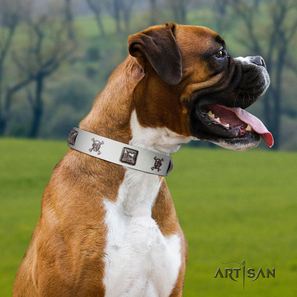 Boxer genuine leather dog collar for everyday walking