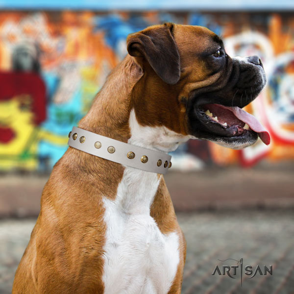 Boxer leather collar with corrosion resistant hardware