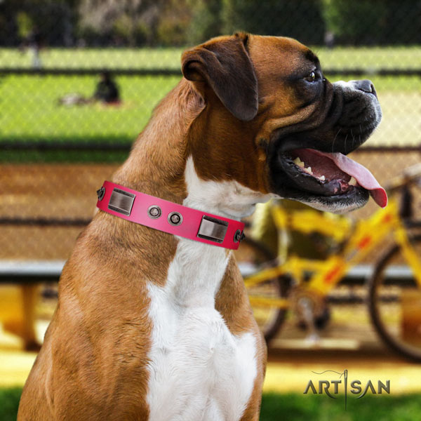 Boxer quality studded genuine leather collar