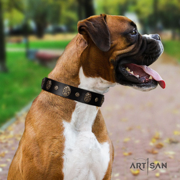 Boxer full grain leather collar with rust-proof fittings for comfy wearing