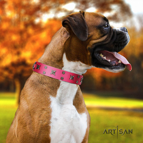 Boxer full grain natural leather dog collar for stylish walking