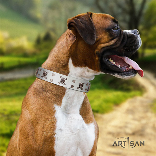 Boxer full grain leather dog collar for everyday use