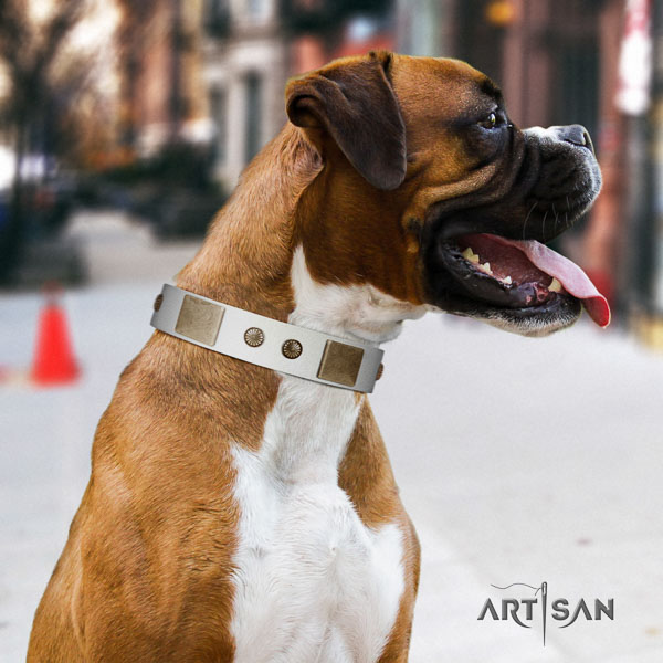 Boxer full grain natural leather collar with rust-proof hardware for comfortable wearing