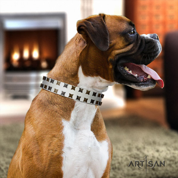 Boxer full grain natural leather collar with strong hardware for basic training