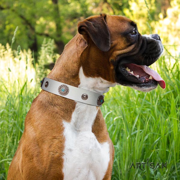 Boxer natural genuine leather dog collar for basic training