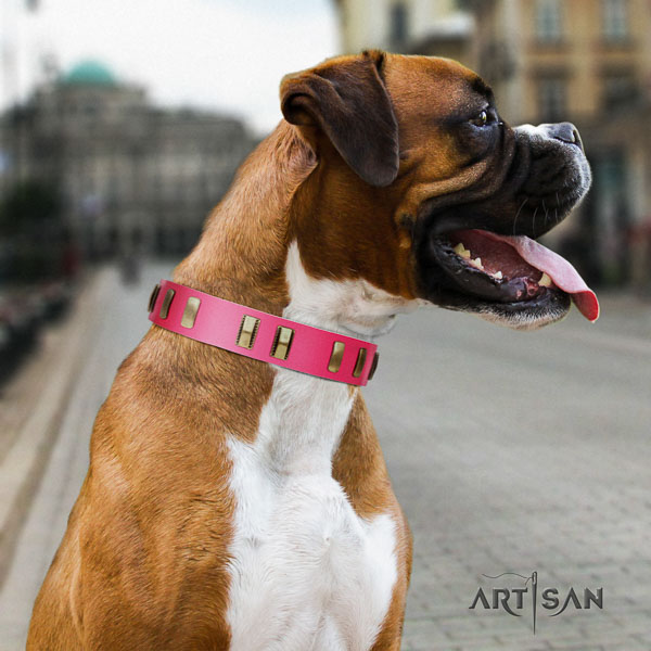 Boxer leather collar with durable D-ring for comfortable wearing