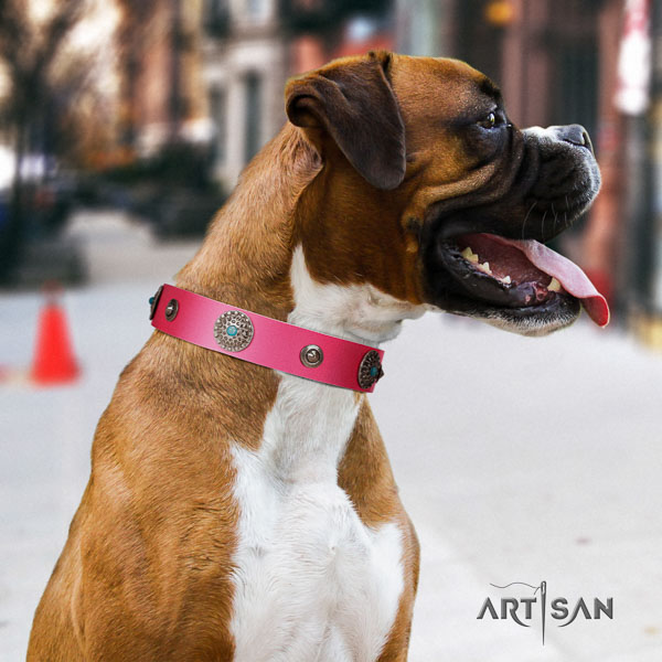 Boxer leather dog collar for walking