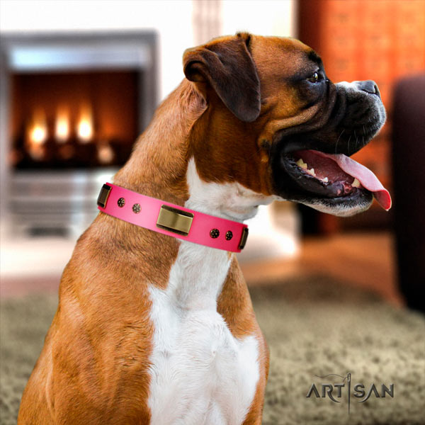 Boxer leather collar with corrosion resistant embellishments