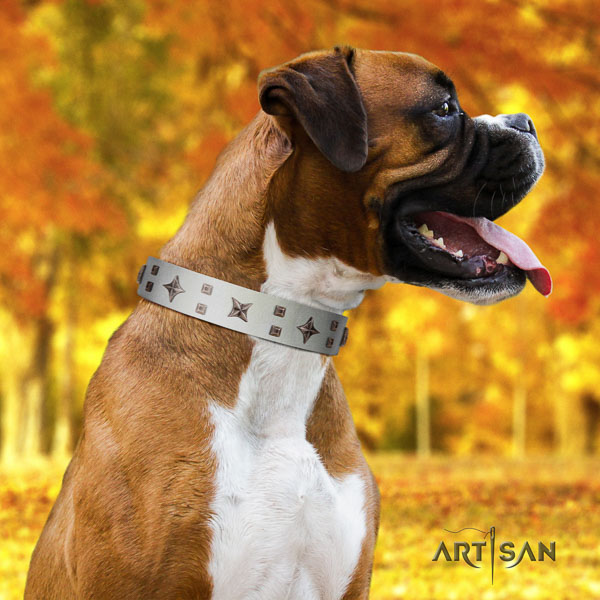 Boxer impressive leather dog collar with embellishments