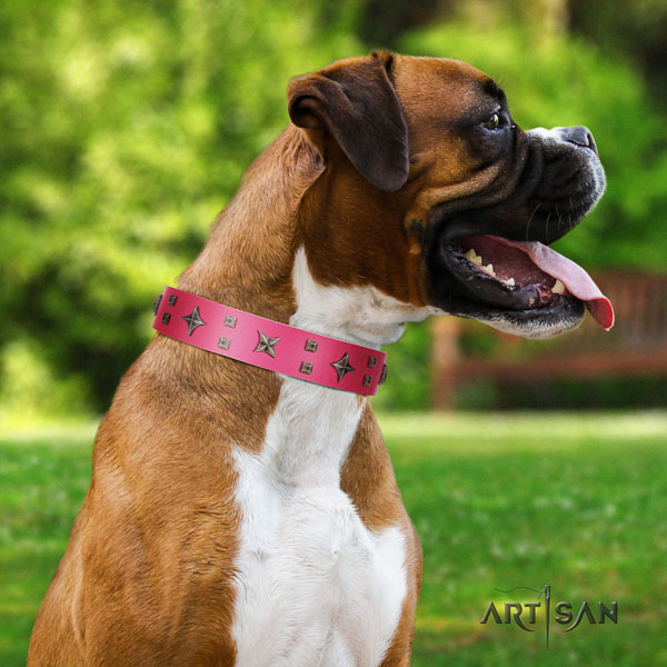 Boxer adorned full grain genuine leather dog collar with decorations