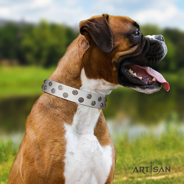 Boxer natural genuine leather dog collar for everyday use