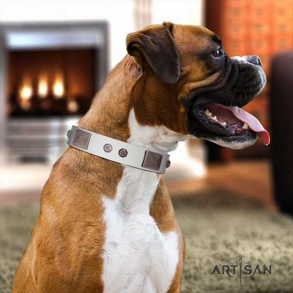 Boxer top quality genuine leather dog collar with adornments