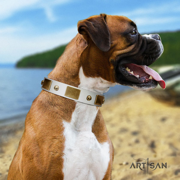 Boxer natural genuine leather collar with reliable traditional buckle for comfortable wearing