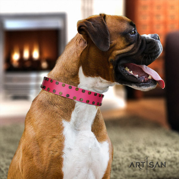 Boxer genuine leather collar with corrosion proof traditional buckle for basic training
