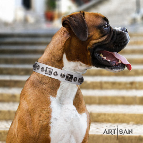 Boxer leather collar with strong buckle